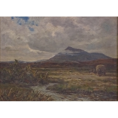 1035 - Ridgard Hartley RCA (1893 - 1924), oil on canvas, landscape, signed, 10