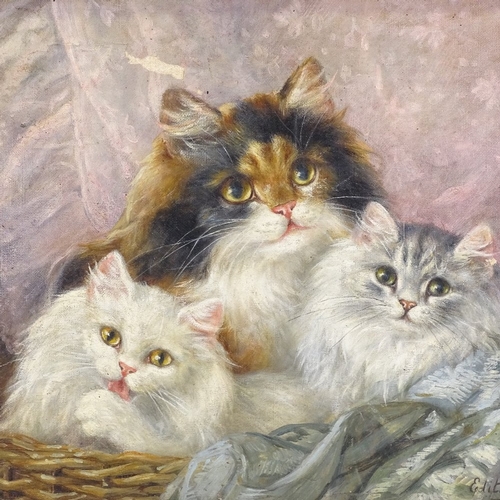 1037 - Edith Penn, oil on canvas, 3 cats in a basket, signed, 12