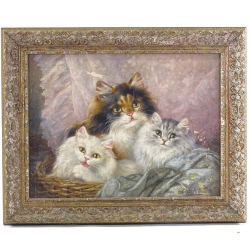 1037 - Edith Penn, oil on canvas, 3 cats in a basket, signed, 12