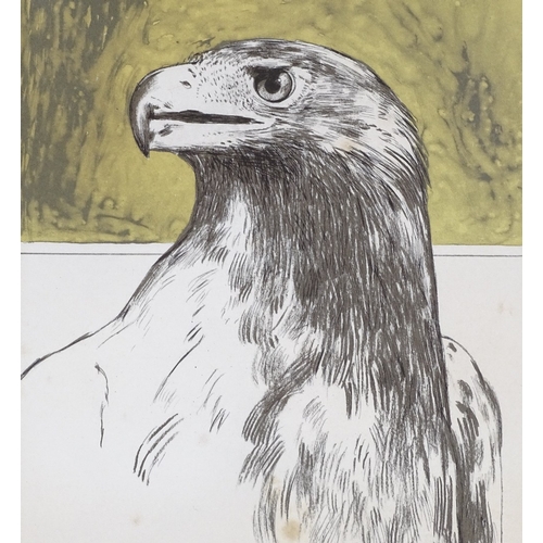 1068 - Bryan Organ (born 1935), lithograph, eagles head, signed in pencil, no. 26/175, with dedication in t... 