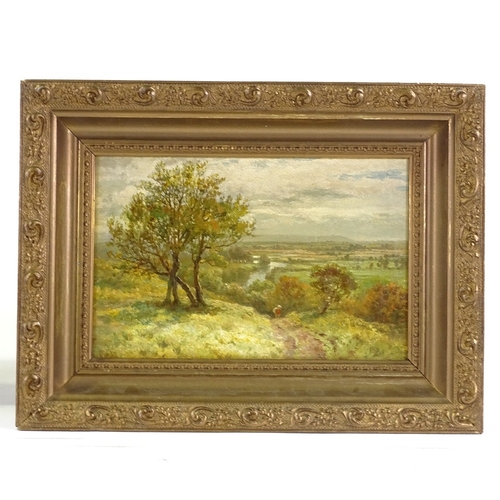 1155 - Samuel H Baker (1824 - 1909), oil on canvas laid on board, the Vale of Evesham, signed, 8