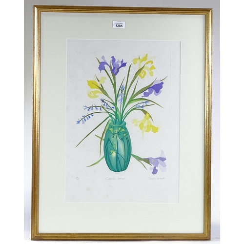 1285 - Sheila Oliver, coloured etching, Cornish Irises, signed in pencil, no. 42/185, plate size 16