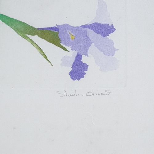 1285 - Sheila Oliver, coloured etching, Cornish Irises, signed in pencil, no. 42/185, plate size 16