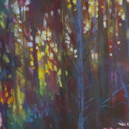 1286 - David Napp, coloured pastels, through the woods in sunlight, signed, 23