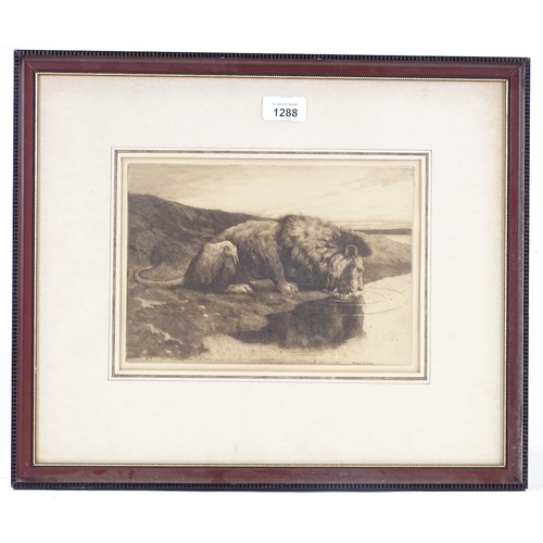 1288 - Herbert Dicksee, etching, a lion drinking, signed in the plate, plate size 7