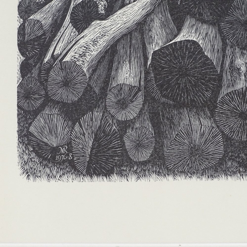 1304 - Michael Renton, wood engraving, stakes, 1976-8, image 10