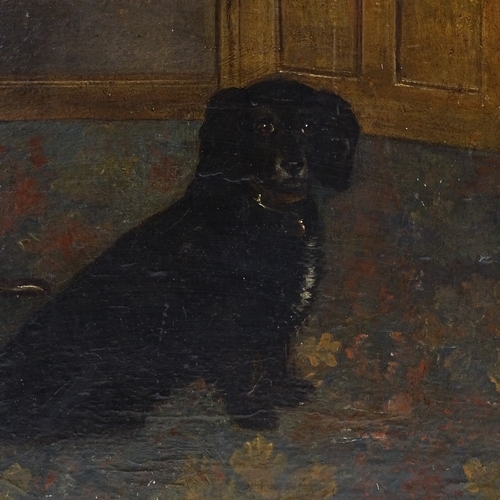 1338 - Oil on wood panel, portrait of a black Spaniel, unsigned, 13