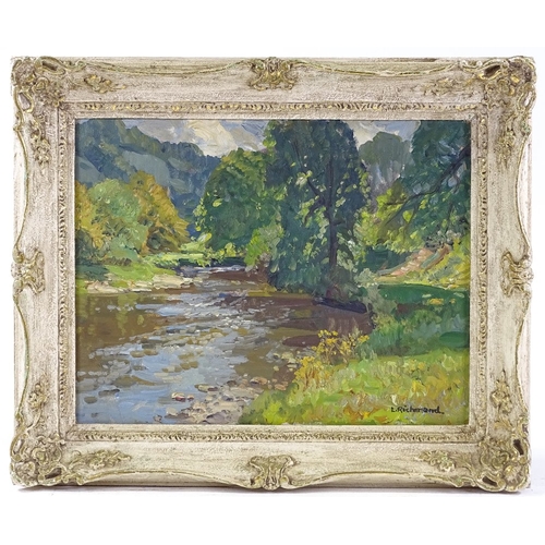 1343 - Leonard Richmond, oil on canvas, a mountain stream, signed, 14