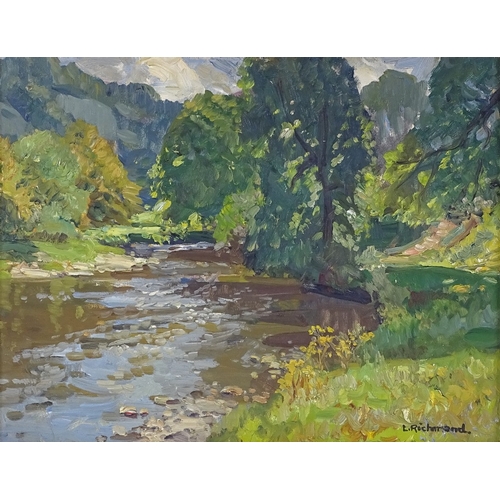 1343 - Leonard Richmond, oil on canvas, a mountain stream, signed, 14