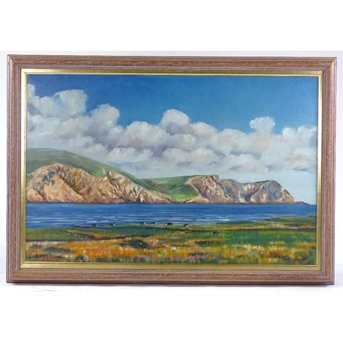 1374 - Tom Smith, oil on canvas, coastal cliffs, signed, 20