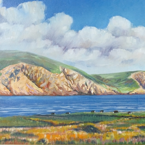 1374 - Tom Smith, oil on canvas, coastal cliffs, signed, 20