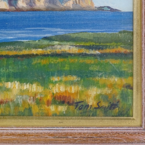 1374 - Tom Smith, oil on canvas, coastal cliffs, signed, 20