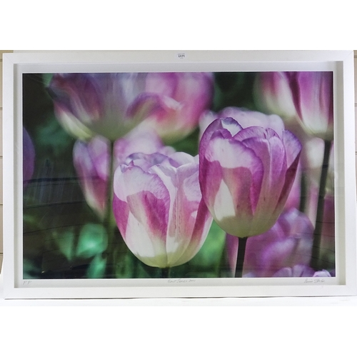 1171 - Dennis Stock, colour photo lithograph, Tulips II, 2001, printer's proof, image 27