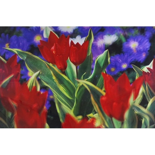 1172 - Dennis Stock, colour photo lithograph, tulips one, signed by the artist, no. 6/100, image 28