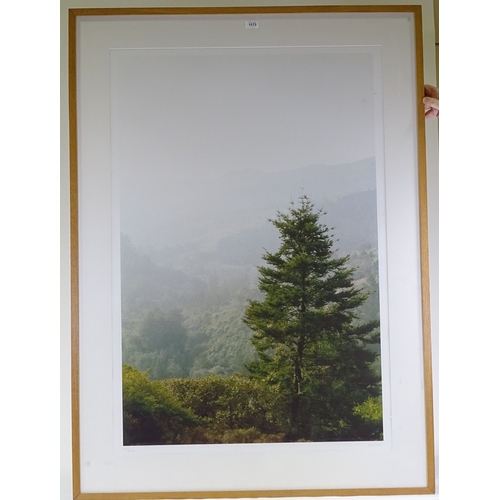 1173 - Alessandro Raho, iris print, landscape San Francisco 2001, signed by the artist, no. 24/200, image 4... 