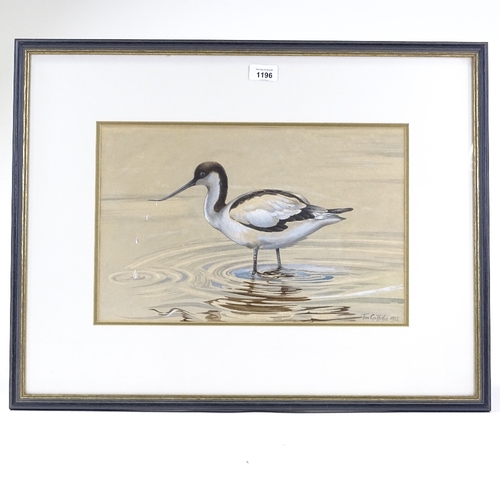 1196 - Tom Griffiths, watercolour, wading Avocet, signed and dated 1982, 10 x 16