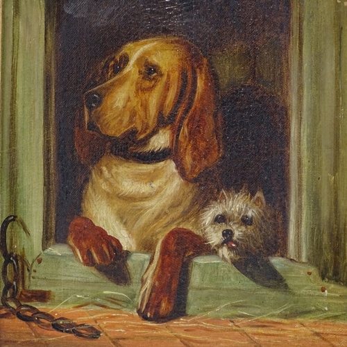 1203 - J Bellini, oil on canvas, 2 dogs, signed, 12