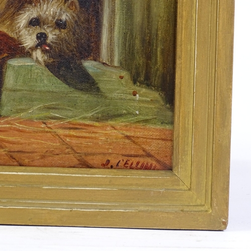 1203 - J Bellini, oil on canvas, 2 dogs, signed, 12