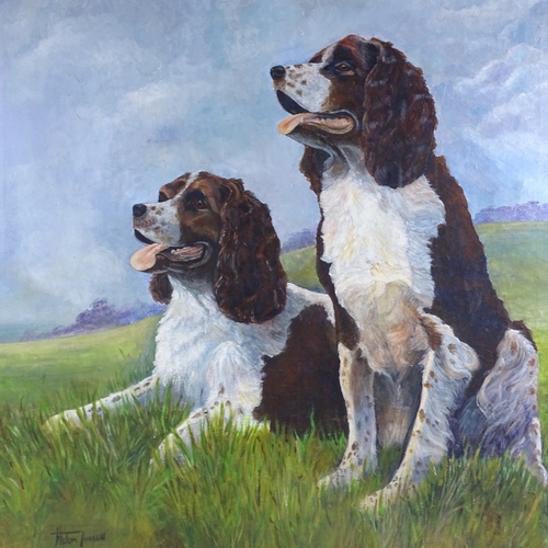 1220 - Helen James?, oil on canvas, Springer Spaniels, signed, 37