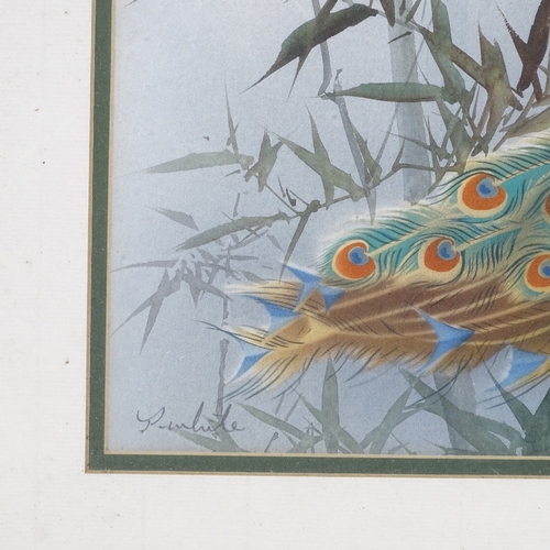 1231 - P White, watercolour, Oriental peacocks, signed, 15