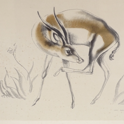 1257 - John Skeaping, print, antelope, signed in pencil, 17