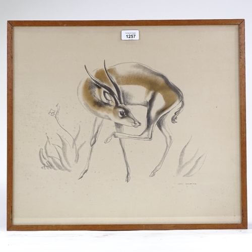 1257 - John Skeaping, print, antelope, signed in pencil, 17