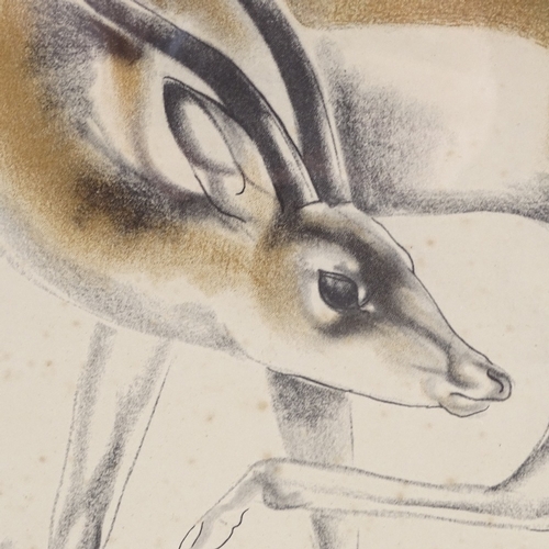 1257 - John Skeaping, print, antelope, signed in pencil, 17