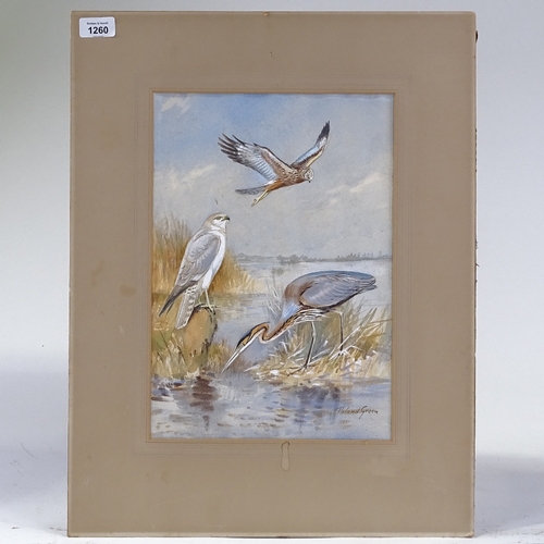 1260 - Roland Green, watercolour, birds of Cyprus, 1957, signed, 14.5