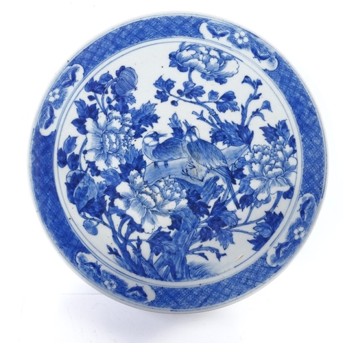 92 - A Chinese blue and white porcelain plate with hand painted exotic birds, 4 character mark, diameter ... 