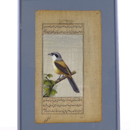 240 - An Indian/Mughal painting on paper, depicting an exotic bird with text inscription, sheet size 24cm ... 