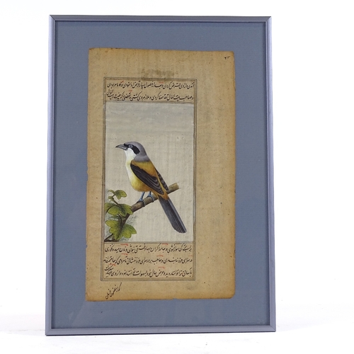 240 - An Indian/Mughal painting on paper, depicting an exotic bird with text inscription, sheet size 24cm ... 