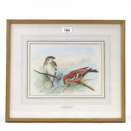 1002 - Lilian Medland (1880 - 1955), gouache, two barred crossbill, signed, 7.5