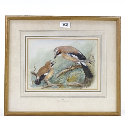 1003 - Lilian Medland (1880 - 1955), gouache, Jay, signed, 8