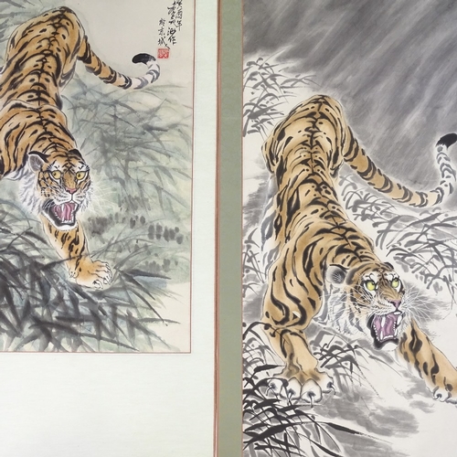 1028 - 2 Chinese scroll paintings, tiger studies