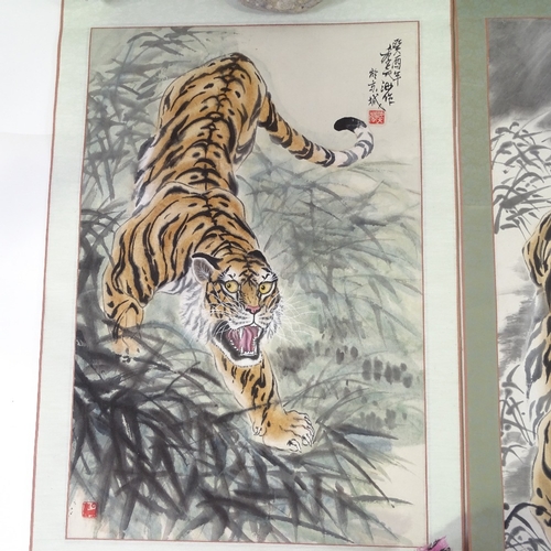 1028 - 2 Chinese scroll paintings, tiger studies