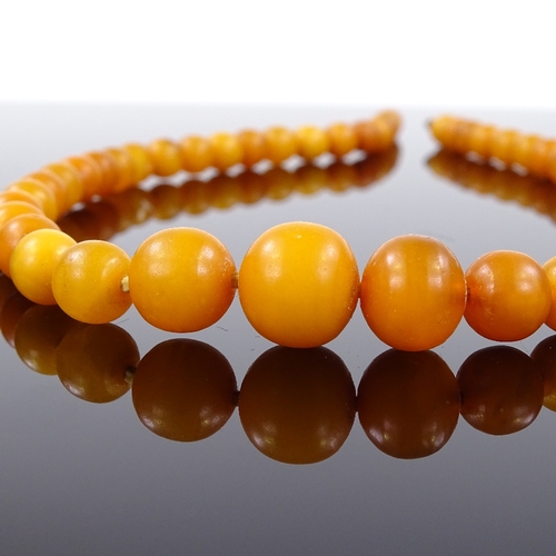 565 - A graduated amber bead necklace, largest bead diameter 12mm, necklace length 41cm, 17.6g