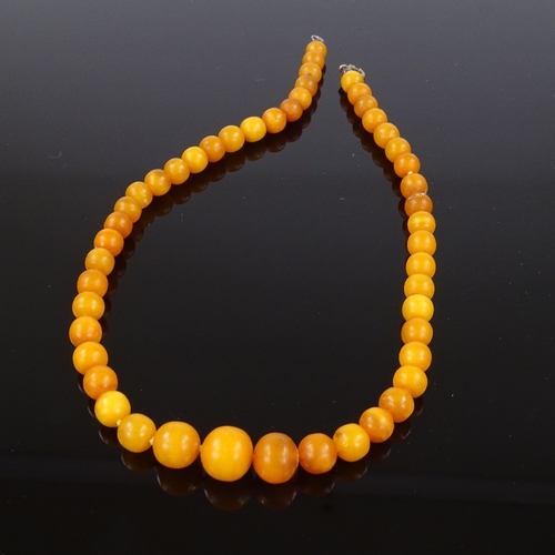 565 - A graduated amber bead necklace, largest bead diameter 12mm, necklace length 41cm, 17.6g