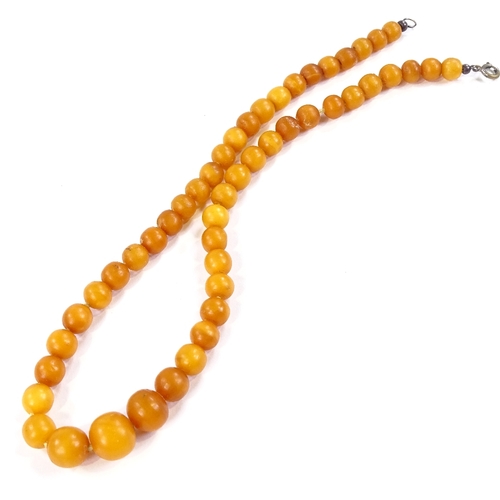 565 - A graduated amber bead necklace, largest bead diameter 12mm, necklace length 41cm, 17.6g