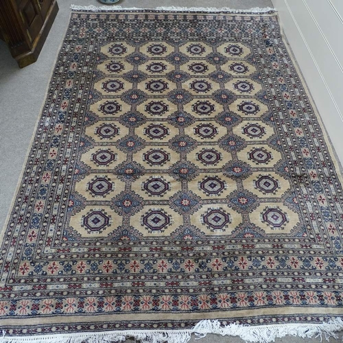 343 - A large cream ground Tekke wool rug, 310cm x 215cm