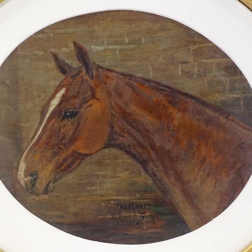 1249 - W Wasdell Trickett, oil on board, portrait of a horse kayenne, signed and dated 1931, 11