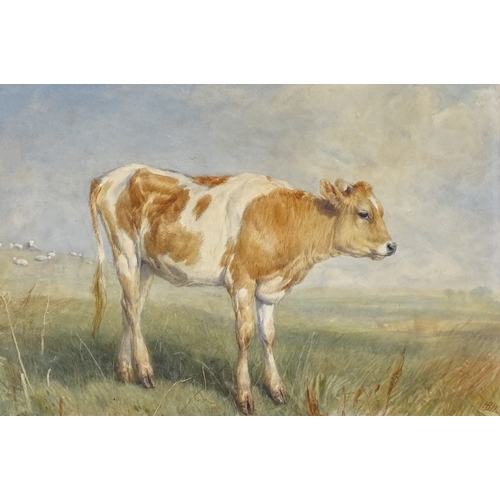 1282 - H B Willis, watercolour, calf in landscape, signed and dated 1857, 13.5