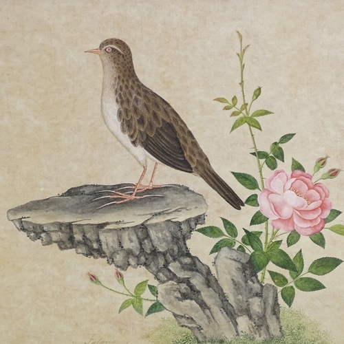 1225 - 19th century Chinese School, watercolour, bird and flower, 8