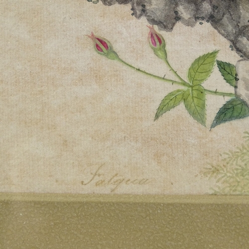 1225 - 19th century Chinese School, watercolour, bird and flower, 8