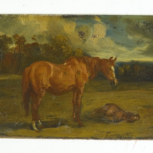 1254 - Circle of Alfred Munnings, oil on board, horse and foal, circa 1910, unsigned 5