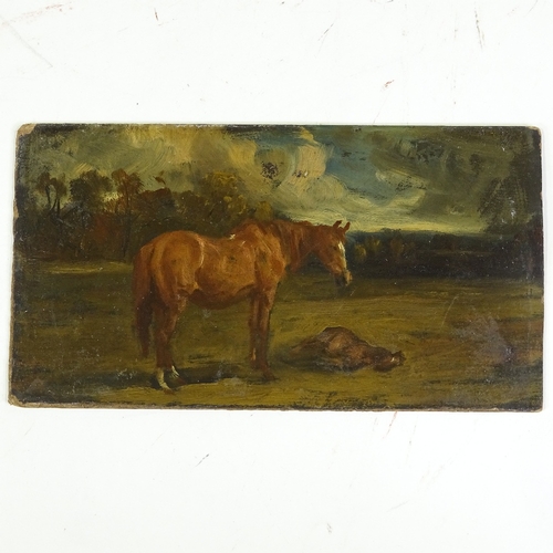 1254 - Circle of Alfred Munnings, oil on board, horse and foal, circa 1910, unsigned 5