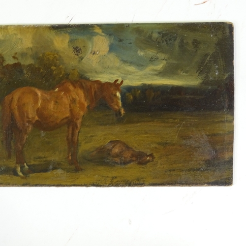 1254 - Circle of Alfred Munnings, oil on board, horse and foal, circa 1910, unsigned 5