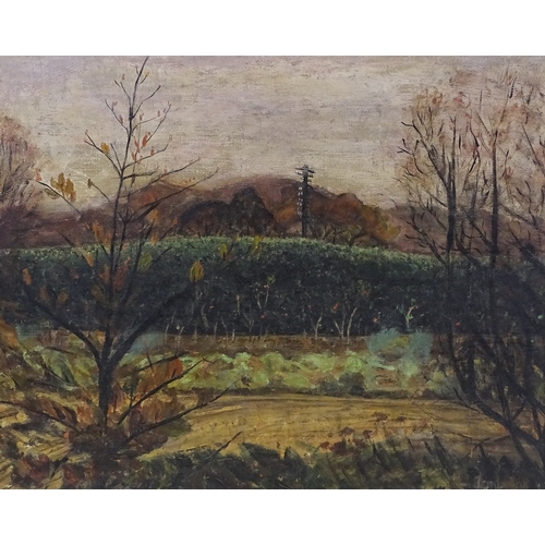 1259 - Leonie Jonleigh (1950 - 1974), oil on canvas, country landscape, signed, 16