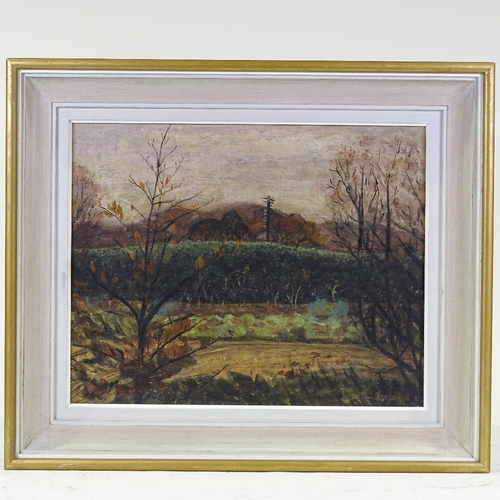 1259 - Leonie Jonleigh (1950 - 1974), oil on canvas, country landscape, signed, 16