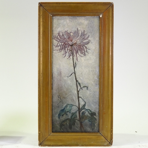 1277 - Early 20th century oil on board, flower study, signed with monogram, 25