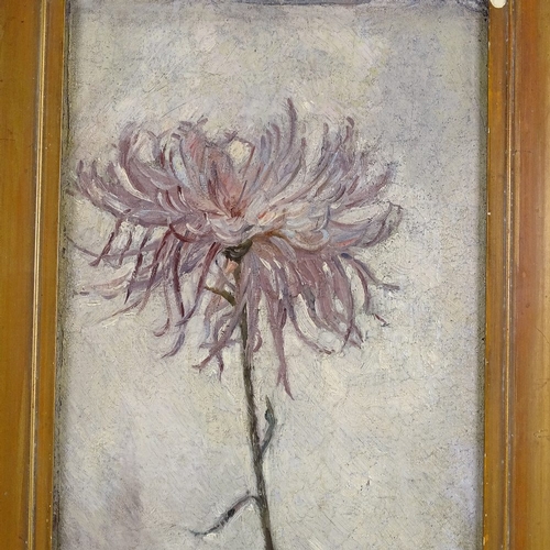 1277 - Early 20th century oil on board, flower study, signed with monogram, 25